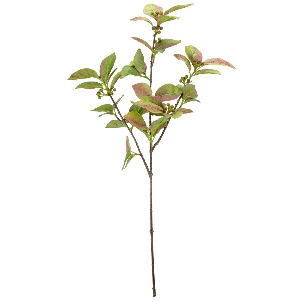 Clematis Leaf with Berries image 0