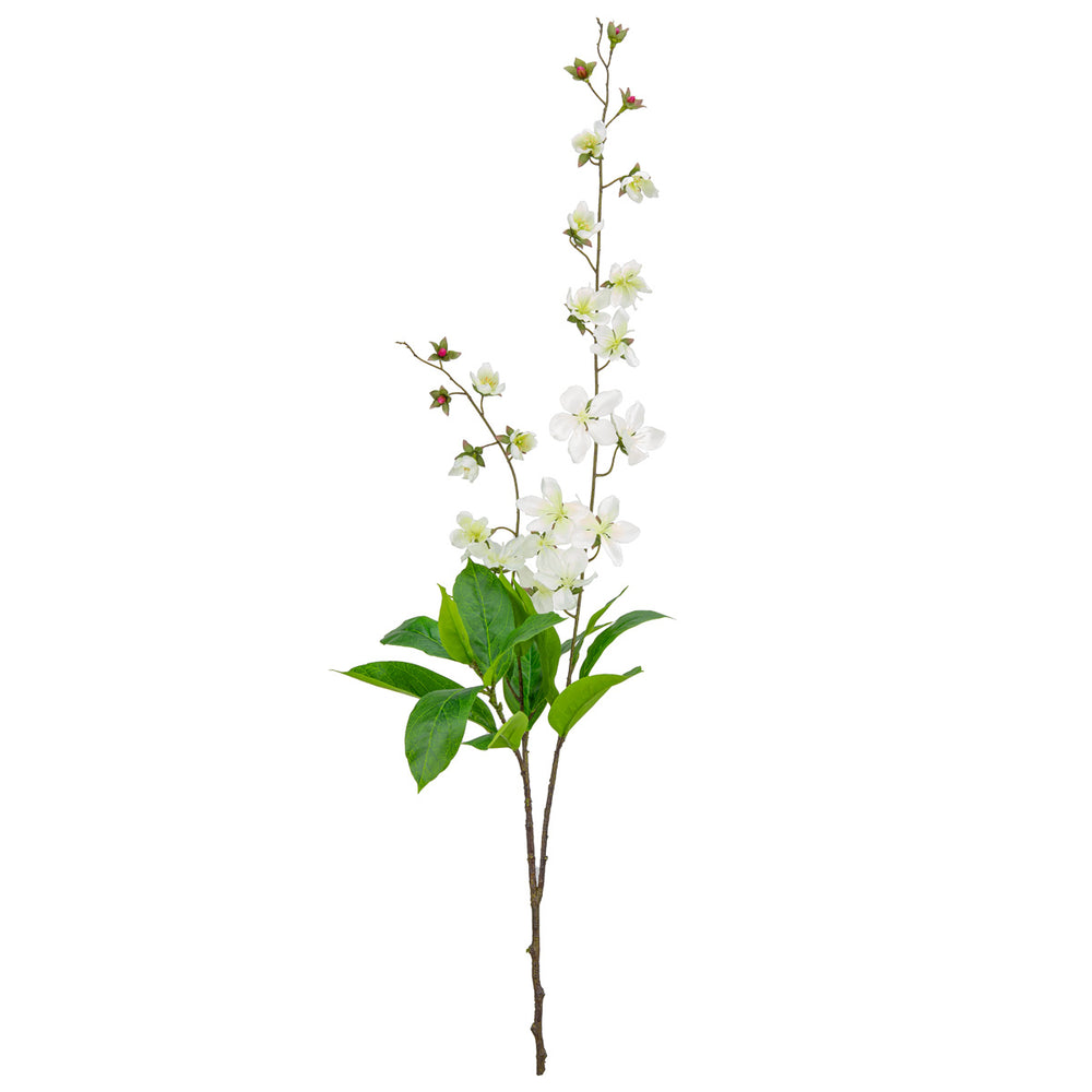 Clematis Spray x 2 White image 0