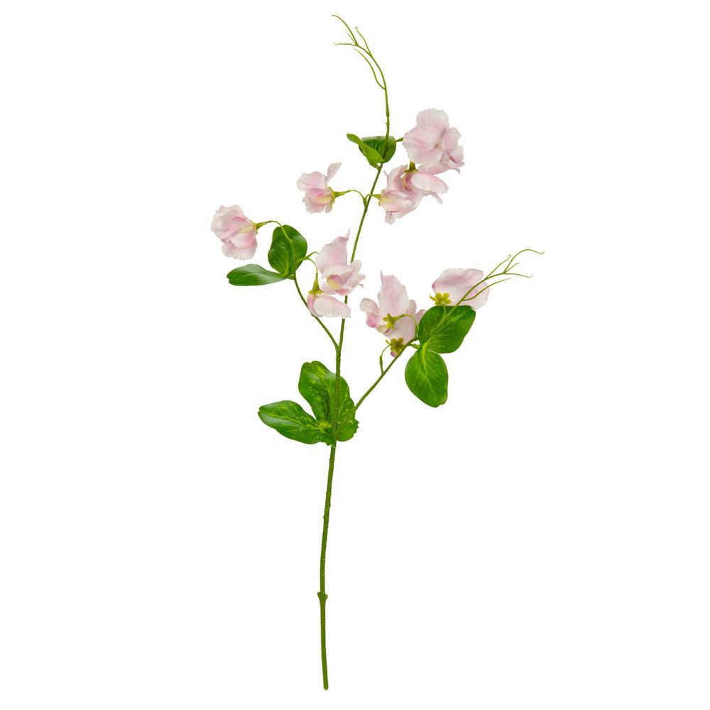 Sweet Pea Spray Light Pink image 0