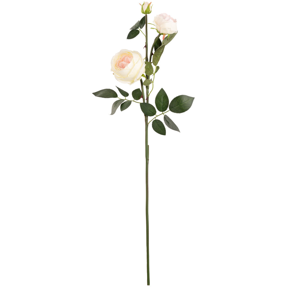 Elizabeth Garden Rose Spray x 3 Cream Pink image 0