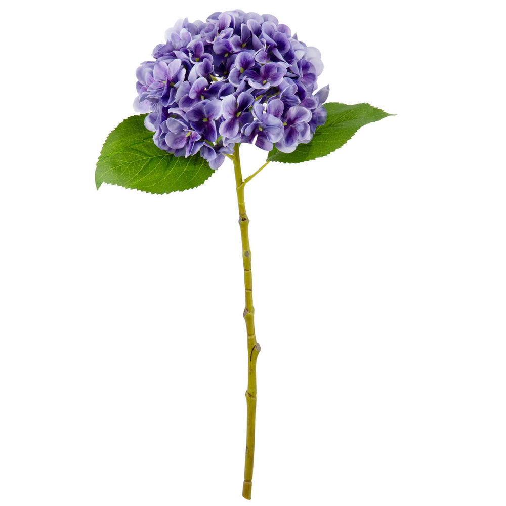 Small Head Hydrangea Lavender image 0