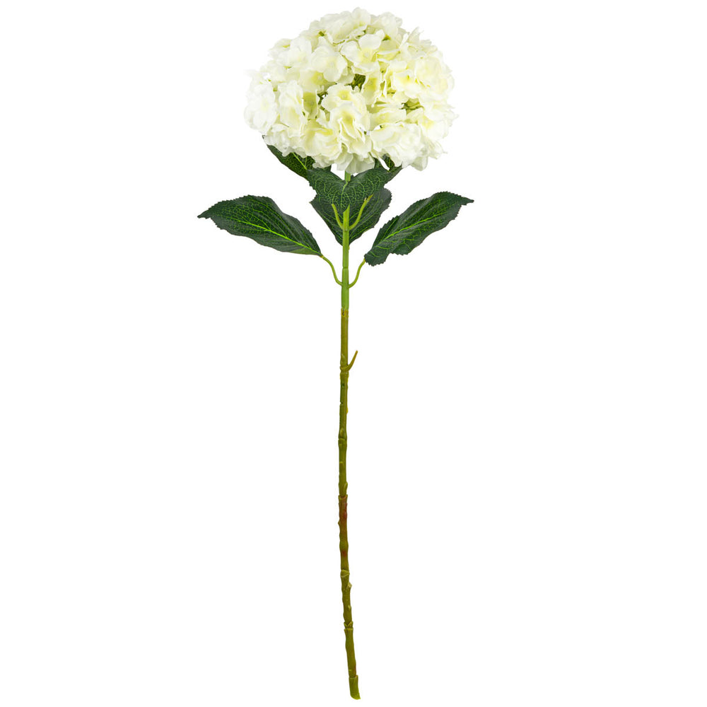 Large Head Hydrangea Cream image 0
