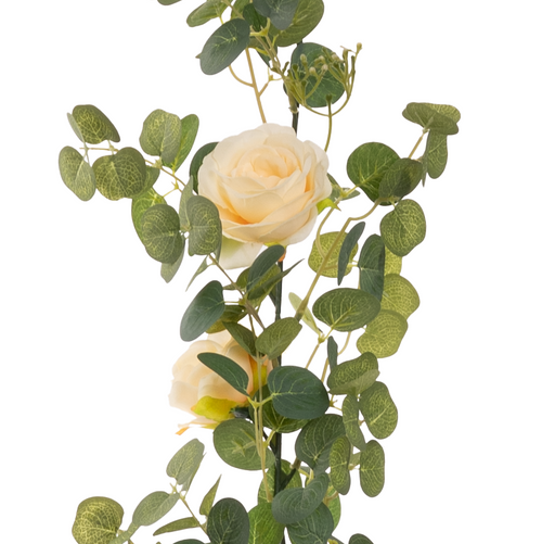 Eucalyptus Garland with Wild Rose Champagne image 0
