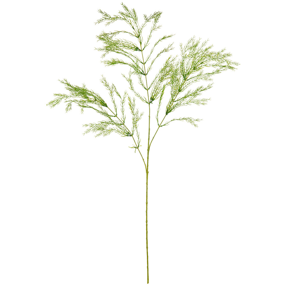 Wild Asparagus Spray Light Green image 0