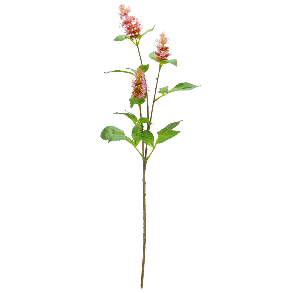 Pogostemon Spray x 3 Pink image 0