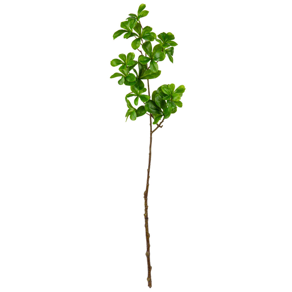 Almond Leaf Spray Green image 0