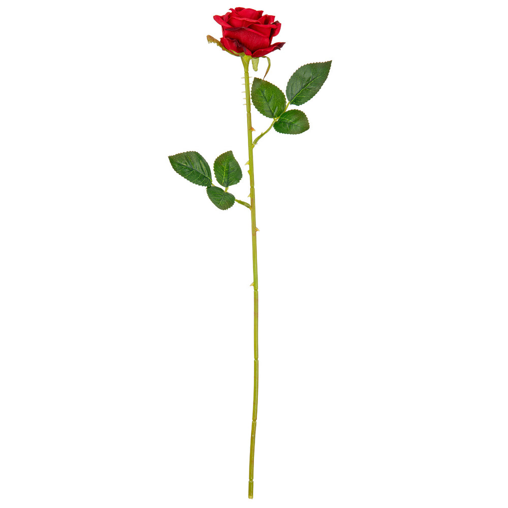 Gabriella Single Rose Red 53cm image 0