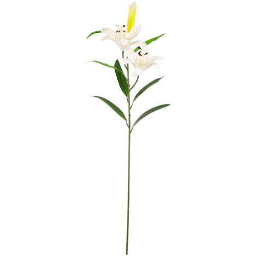 Lily Stem x 2, 1 Bud & 7 Leaves White image 0