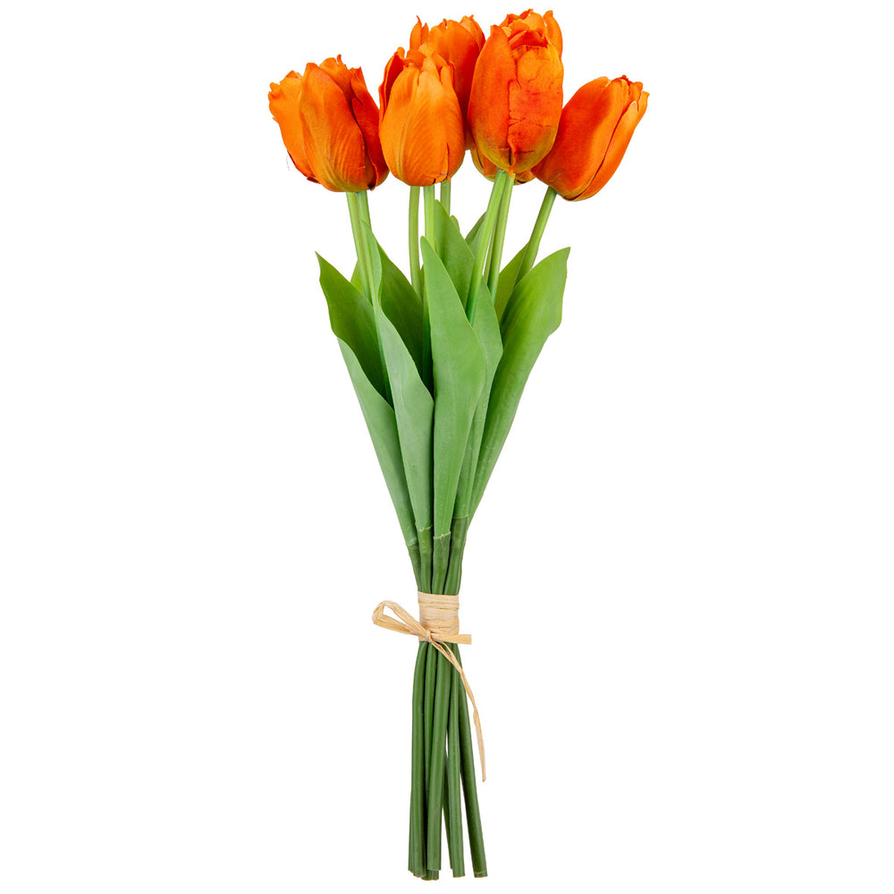 Tulip Bunch x 9 Orange image 0