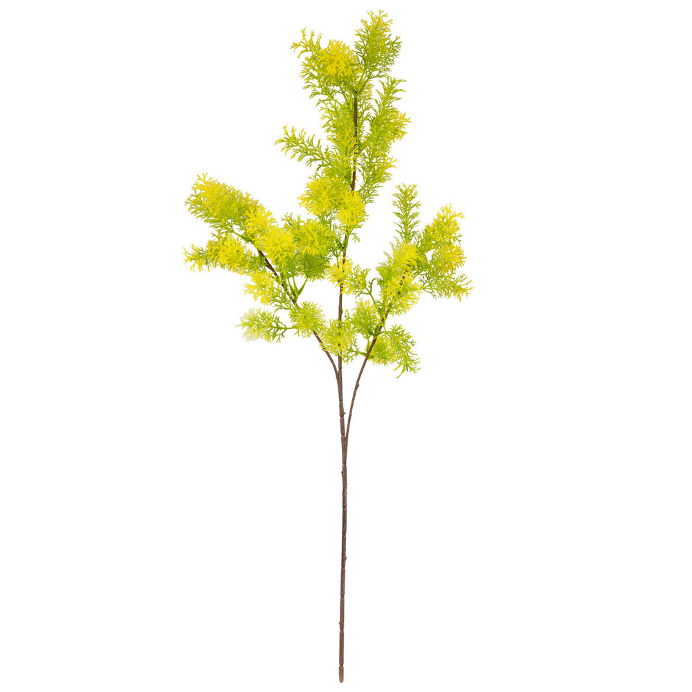 Foliage Spray 72cm Stem Light Green image 0