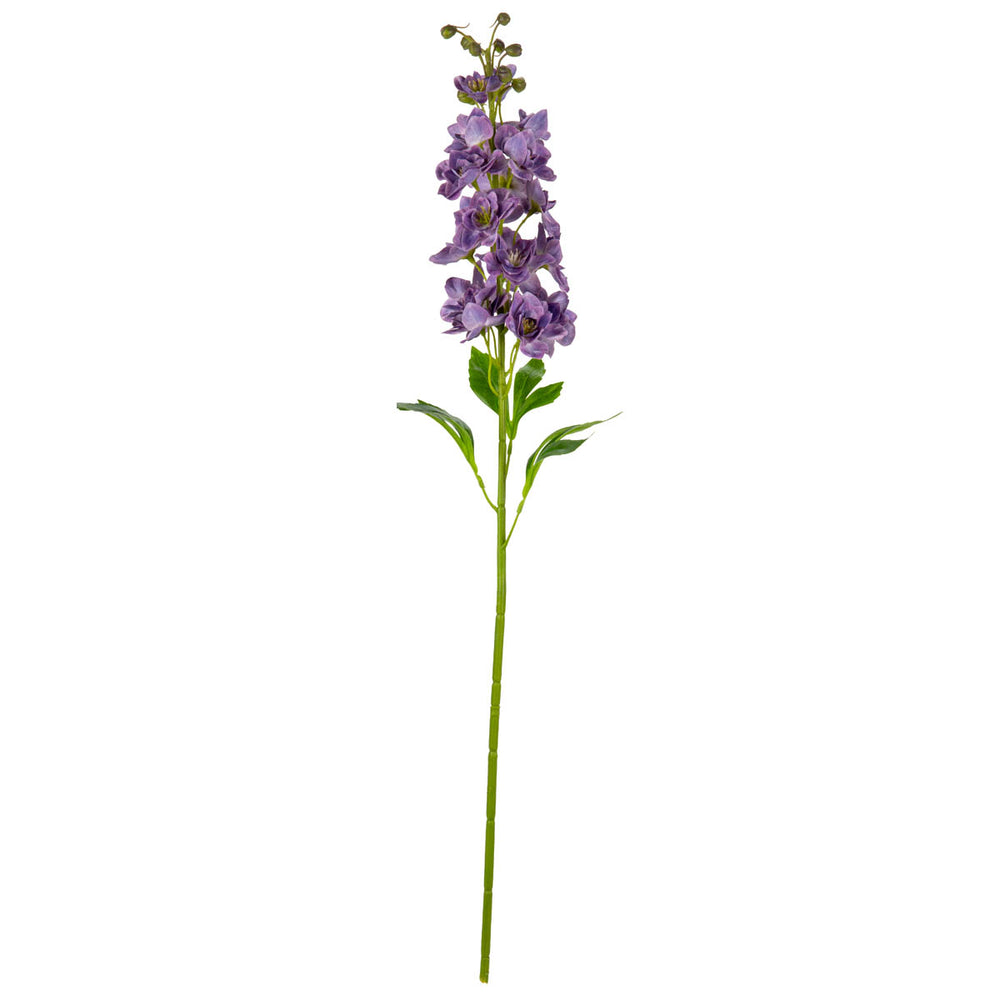 Delphinium Stem Violet image 0