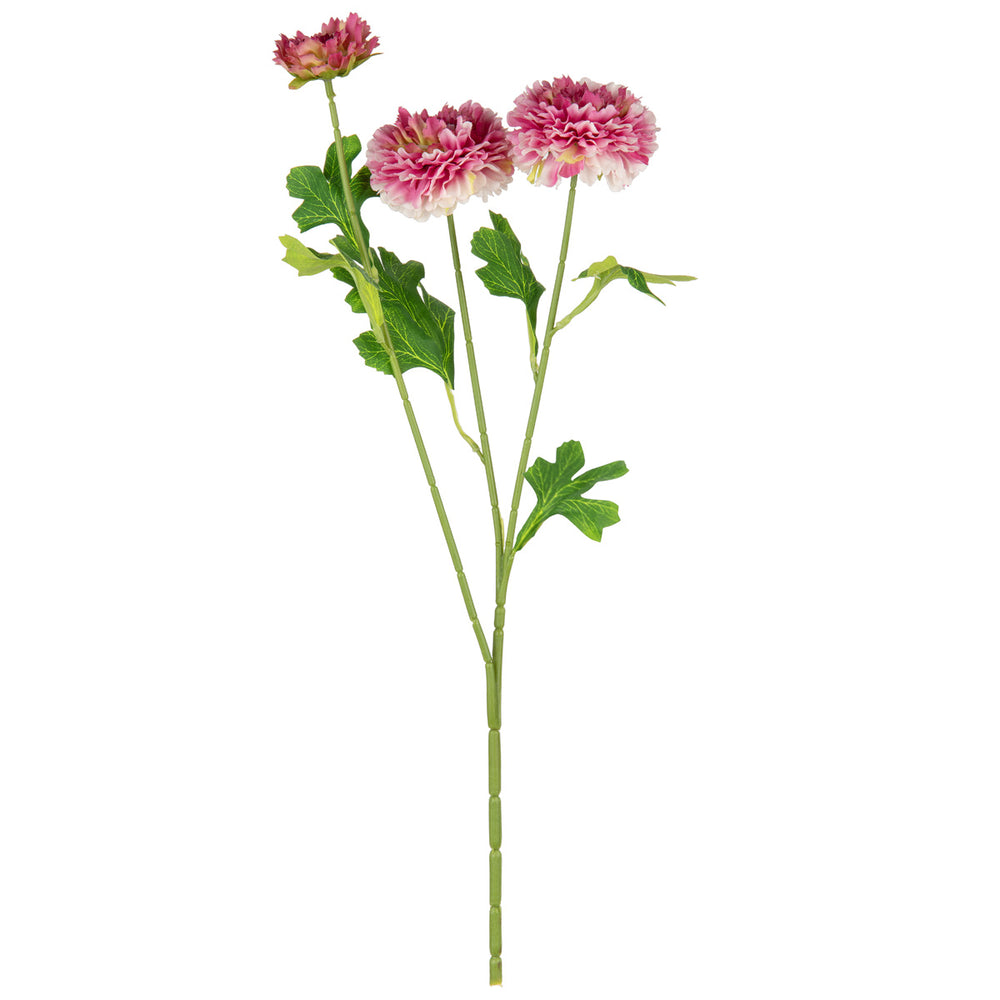 Oriental Aster Spray x 3 Pink image 0