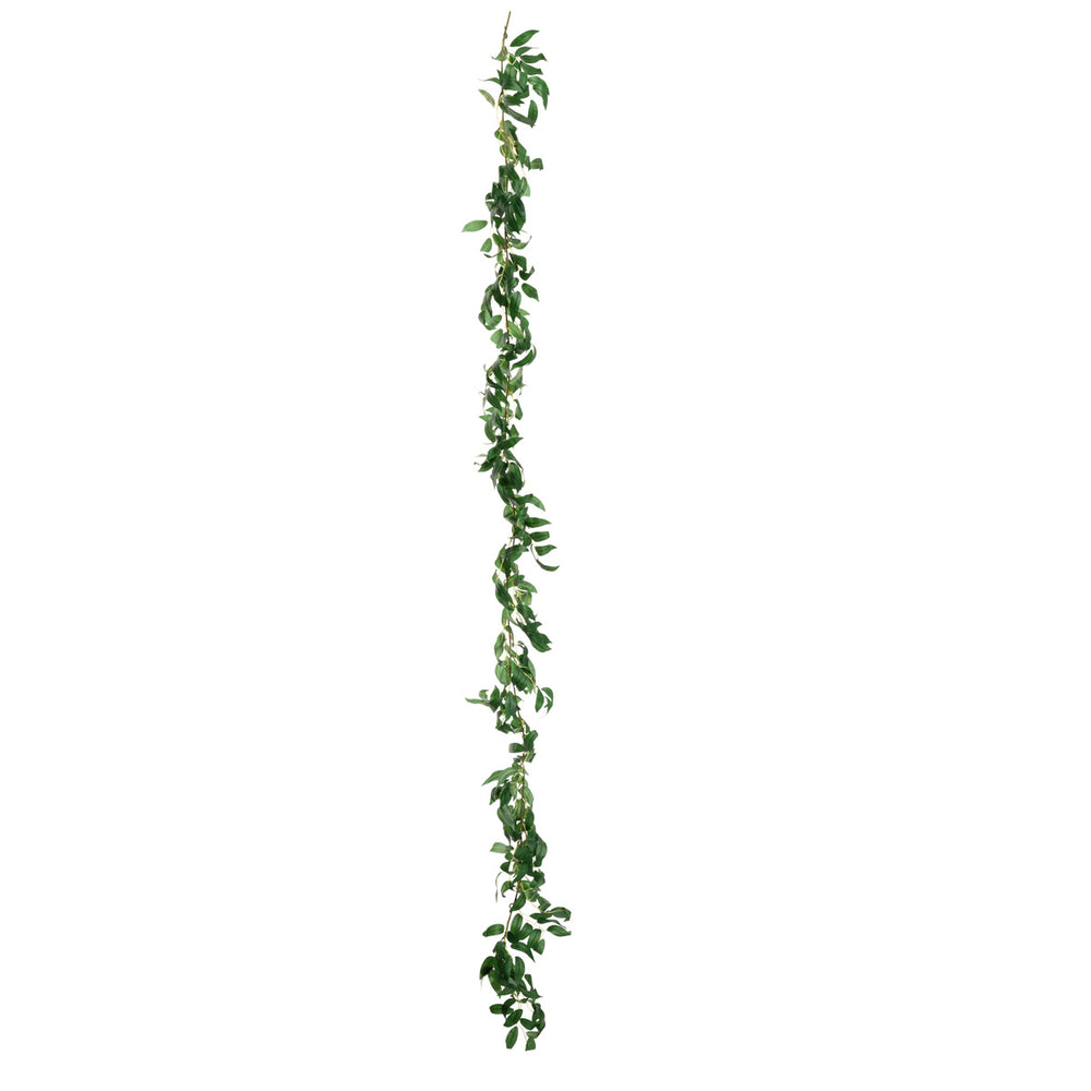 Ruscus Garland Green 1.8m image 0