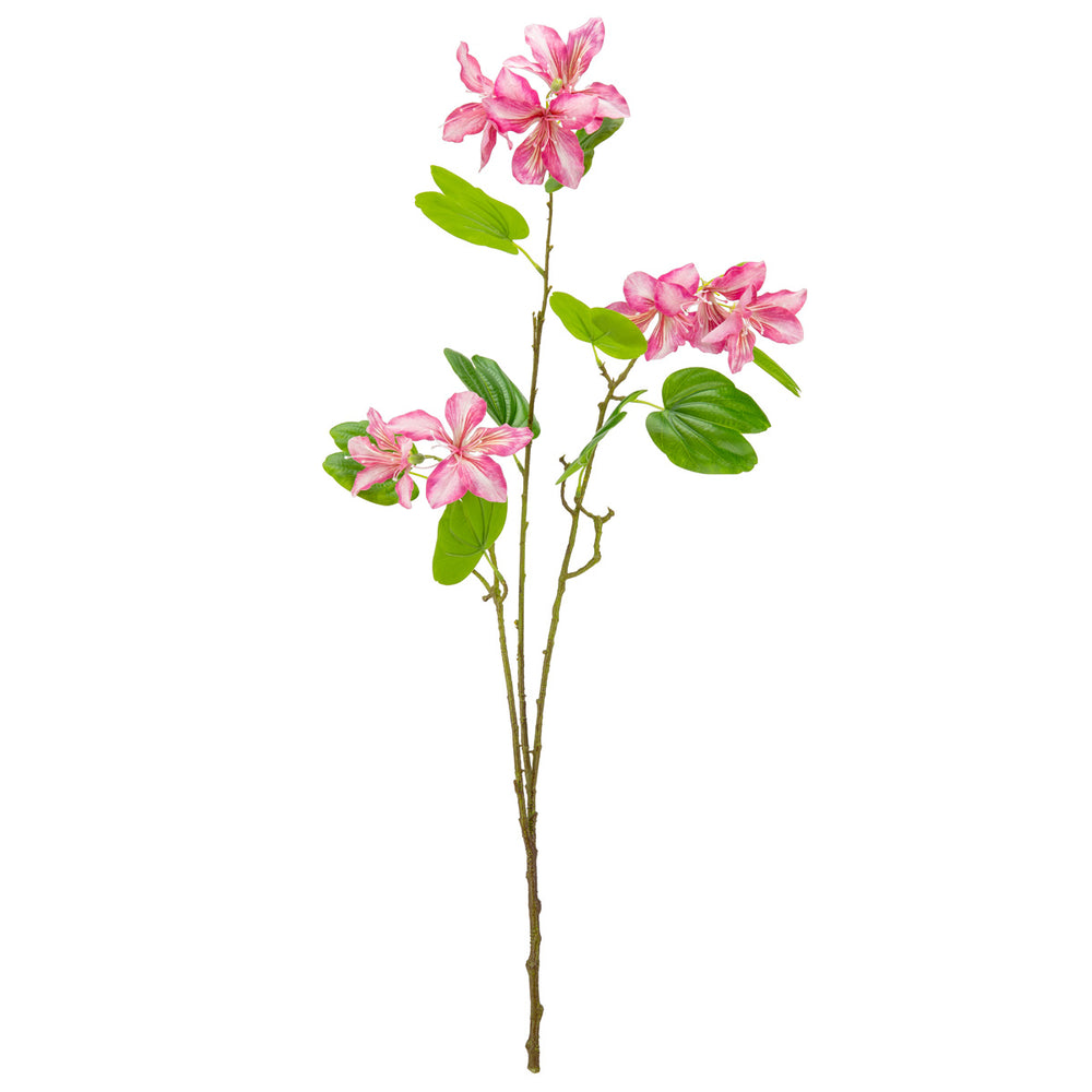 Bauhinia Spray Pink image 0