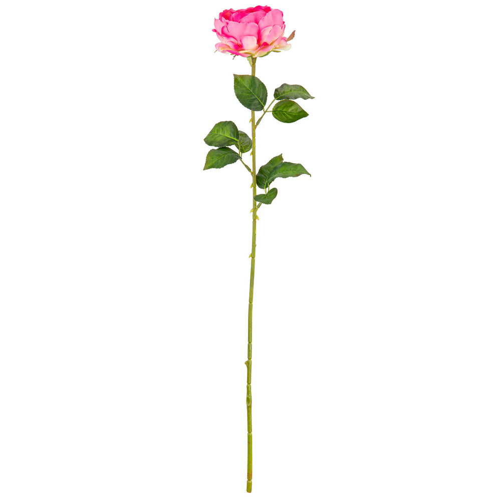 65cm Single Rose Bright Pink image 0