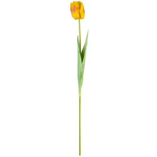 Single Stem Tulip Yellow