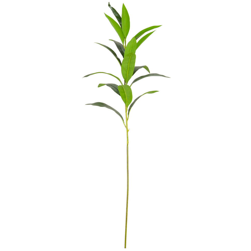 Lily Leaf Green