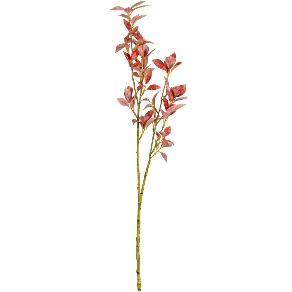 Laurel Fig Leaves Red/Brown