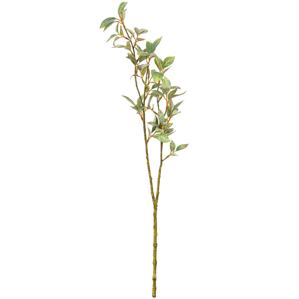 Laurel Fig Leaves Light Green