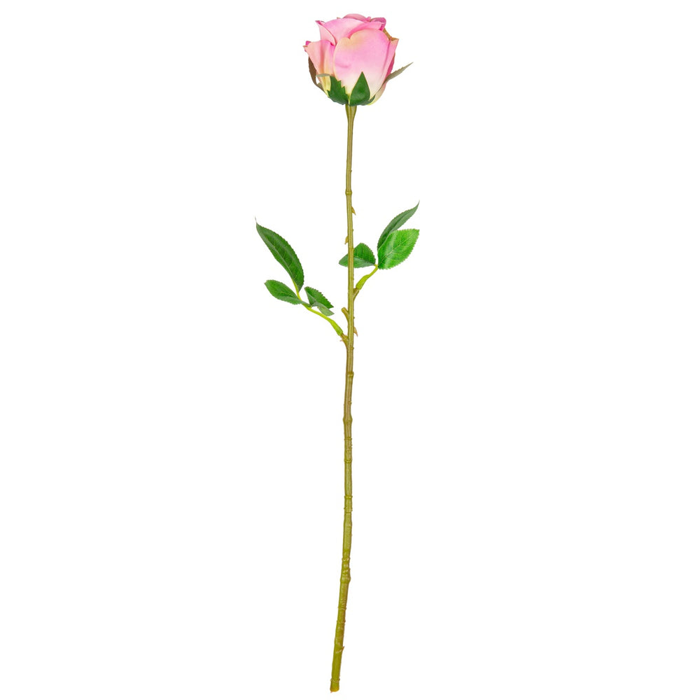 Mia Rose Dark Pink
