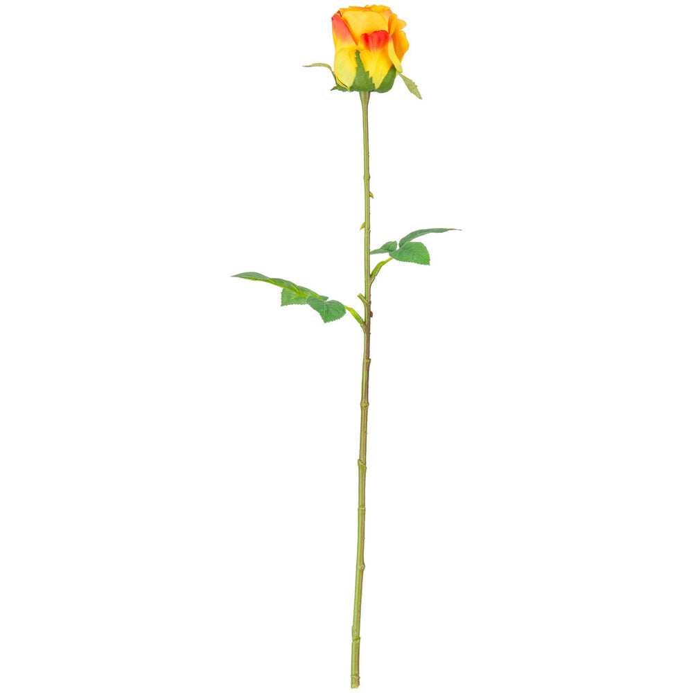 Mia Rose Orange