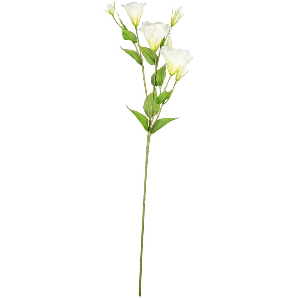 Eleganza Lisianthus Spray x 3 White image 0