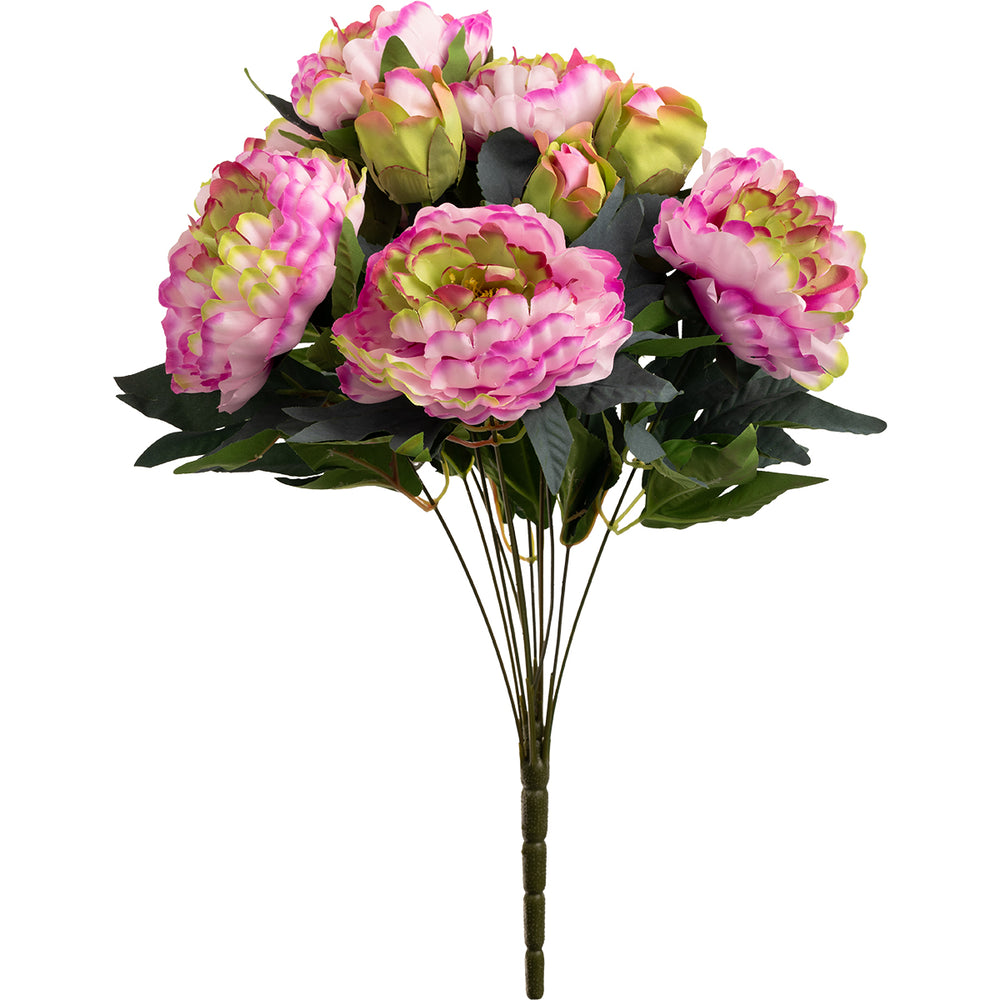 Peony 48cm Bush White/Pink image 0