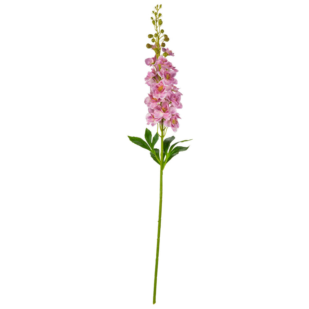 Delphinium Stem Light Pink image 0