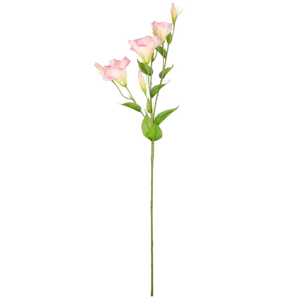 Eleganza Lisianthus Spray x 3 Light Pink image 0