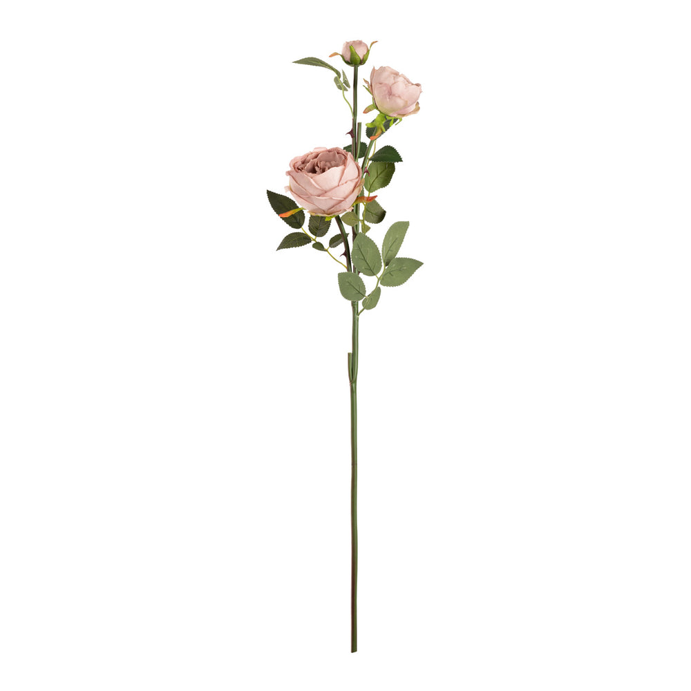 Elizabeth Garden Rose Spray x 3 Dirty Pink image 0