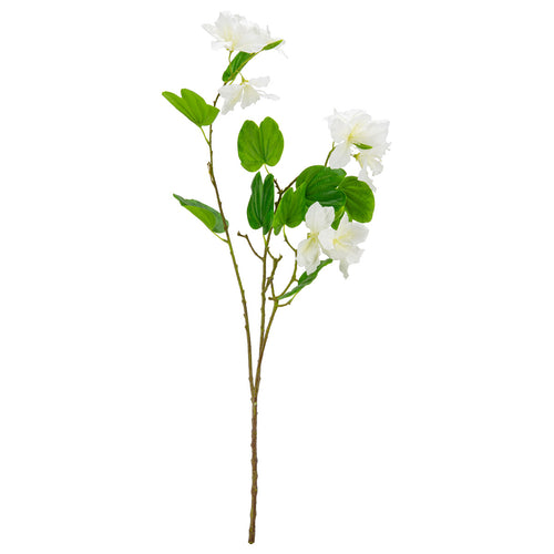 Bauhinia Spray White image 0