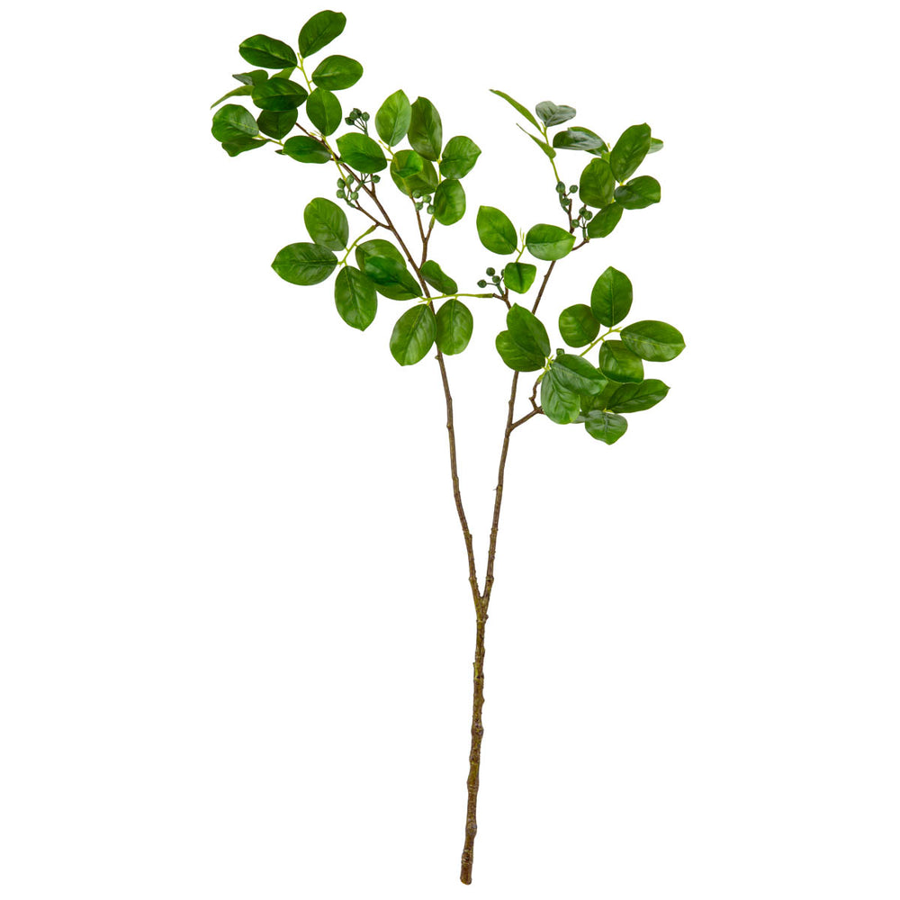 Grape Myrtle Leaf Spray image 0