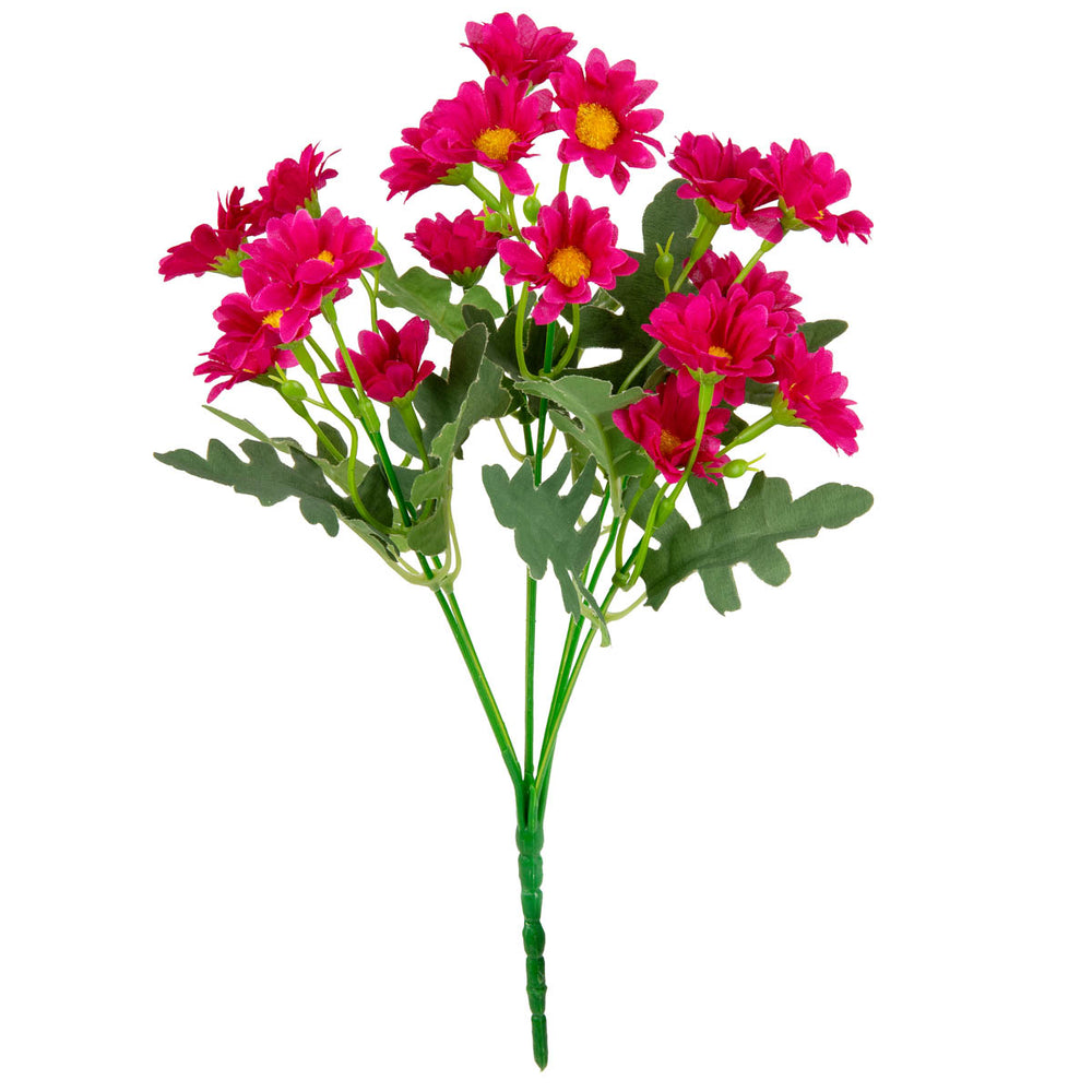 Daisy Bush Cerise image 0