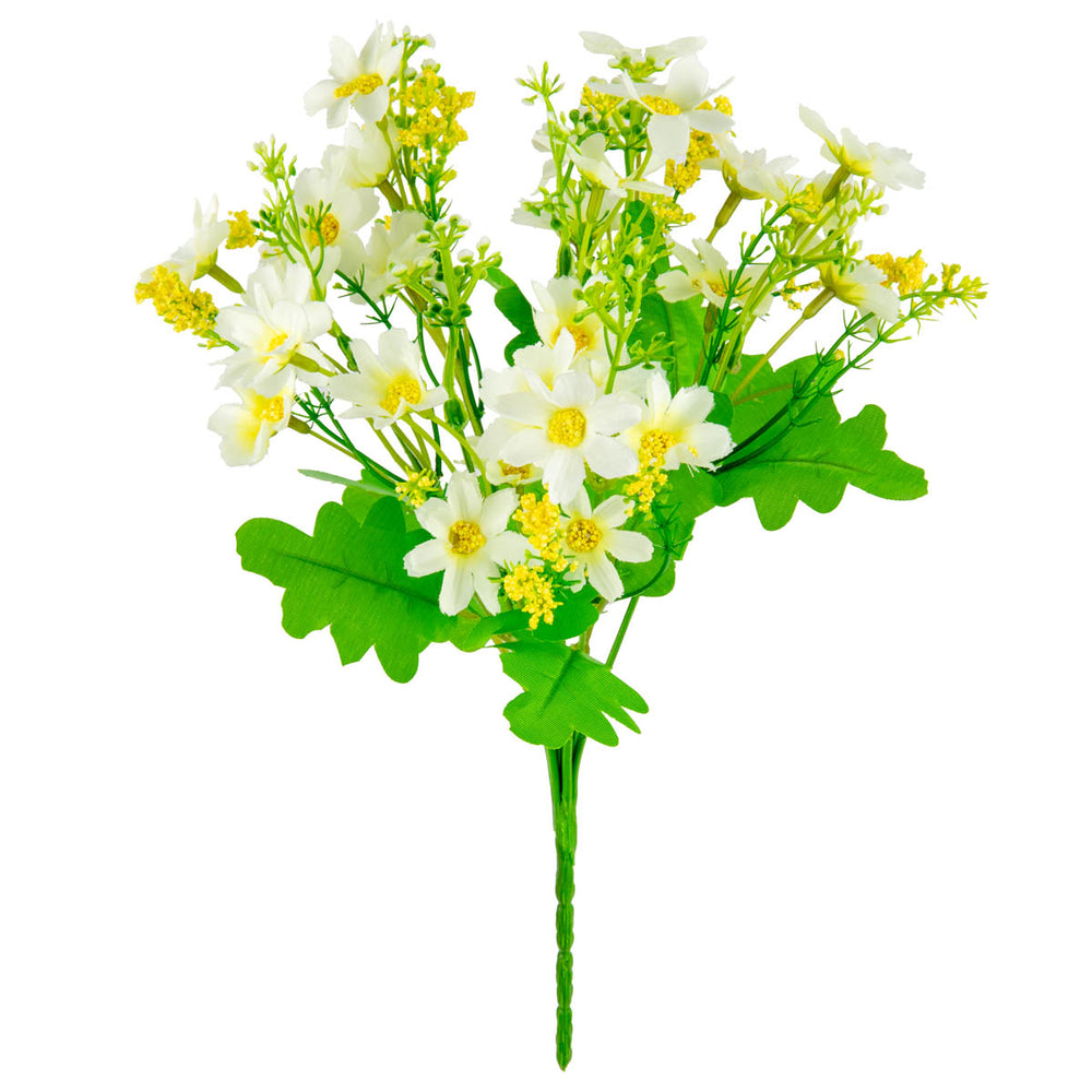 Mixed Daisy Bush White image 0