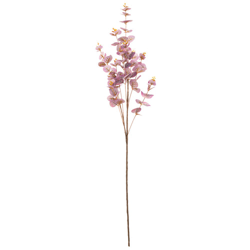 Eucalyptus Stem Mauve image 0