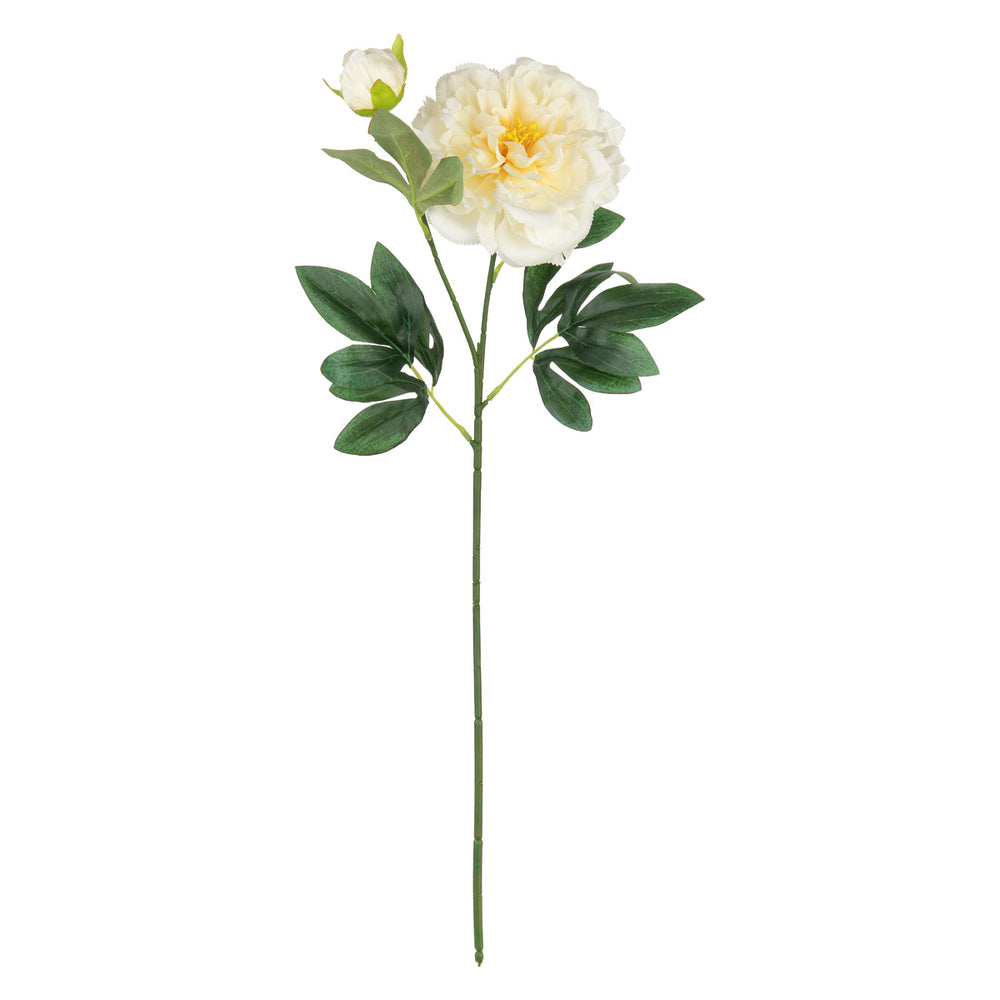 Peony Spray x 2 Cream image 0