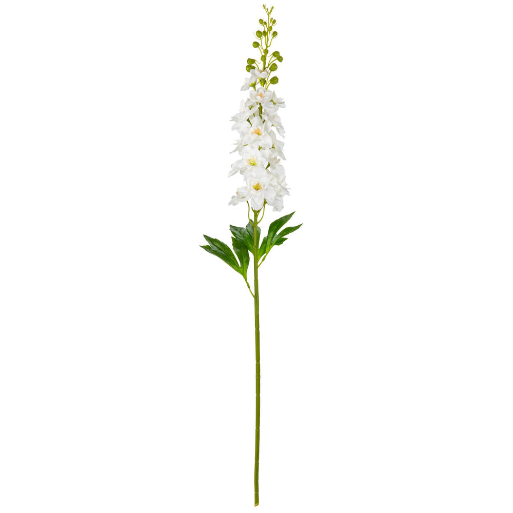Delphinium Stem White image 0