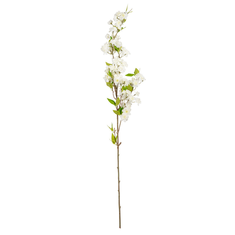 Cherry Blossom White image 0