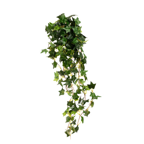 Hanging Ivy Bush Green image 0