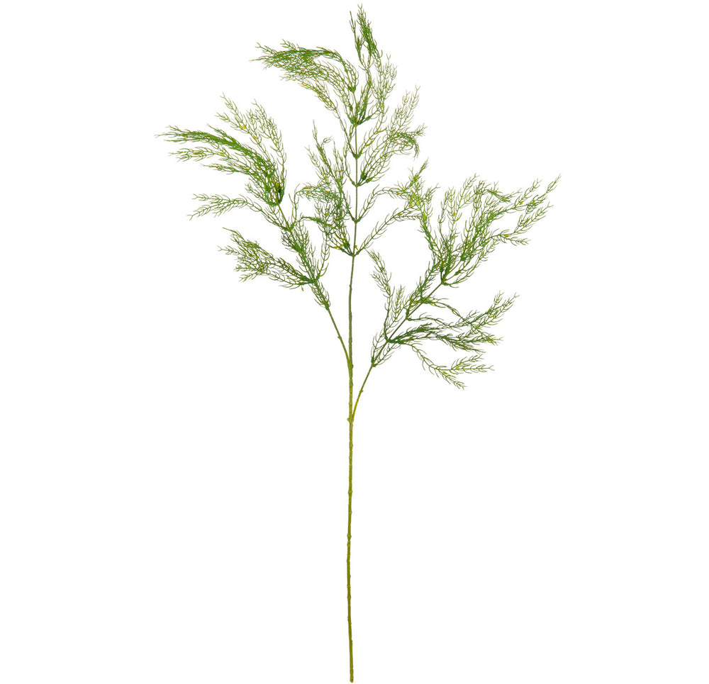Wild Asparagus Spray Green image 0