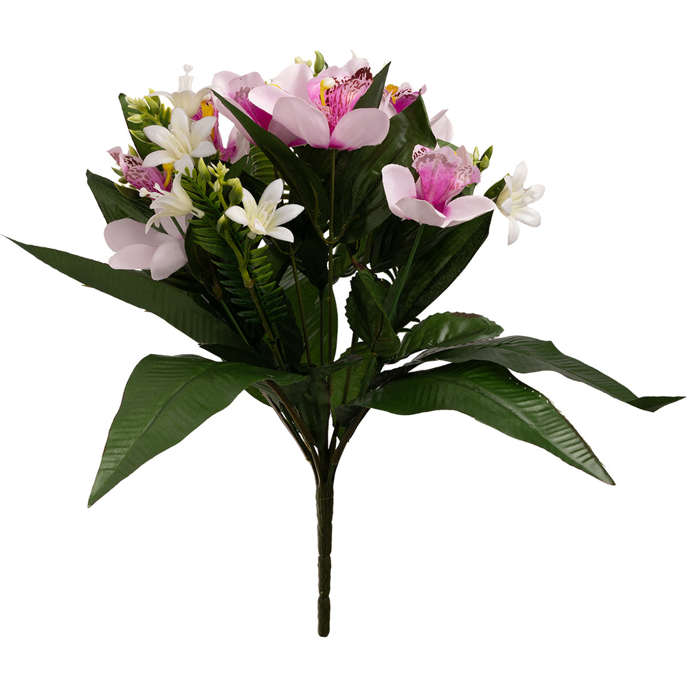Orchid Bush 37cm White/Purple image 0