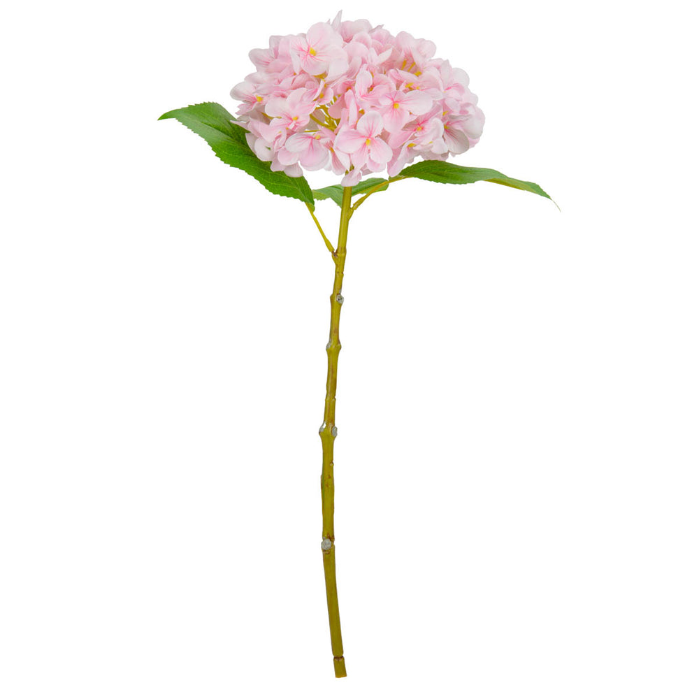 Small Head Hydrangea Light Pink image 0