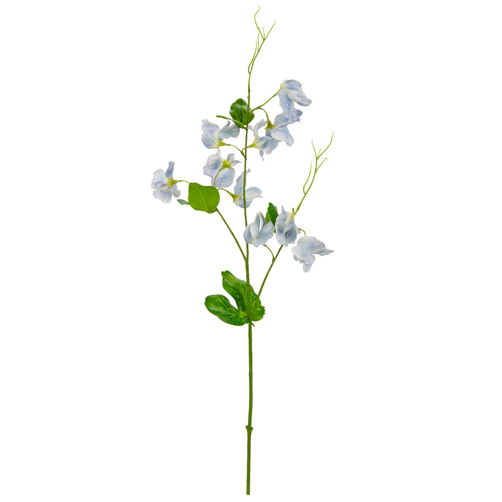 Sweet Pea Spray Light Blue image 0