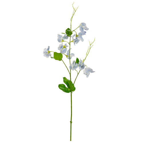Sweet Pea Spray Light Blue image 0