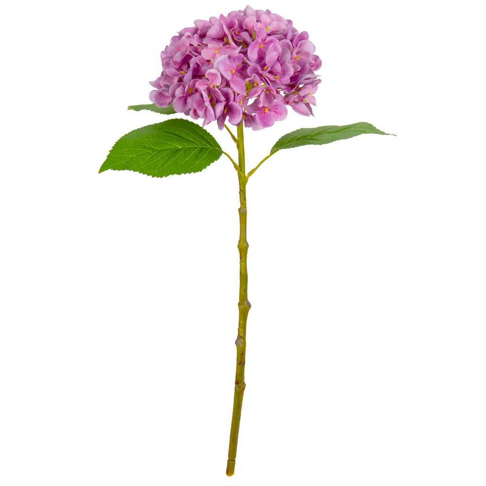 Small Head Hydrangea Two Tone Pink image 0
