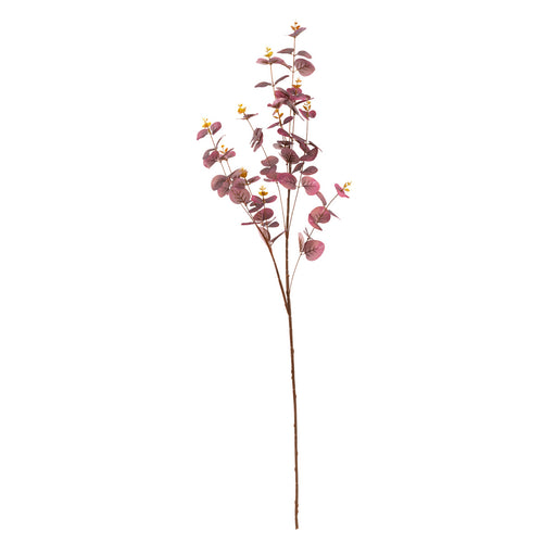 Eucalyptus Stem Burgundy image 0