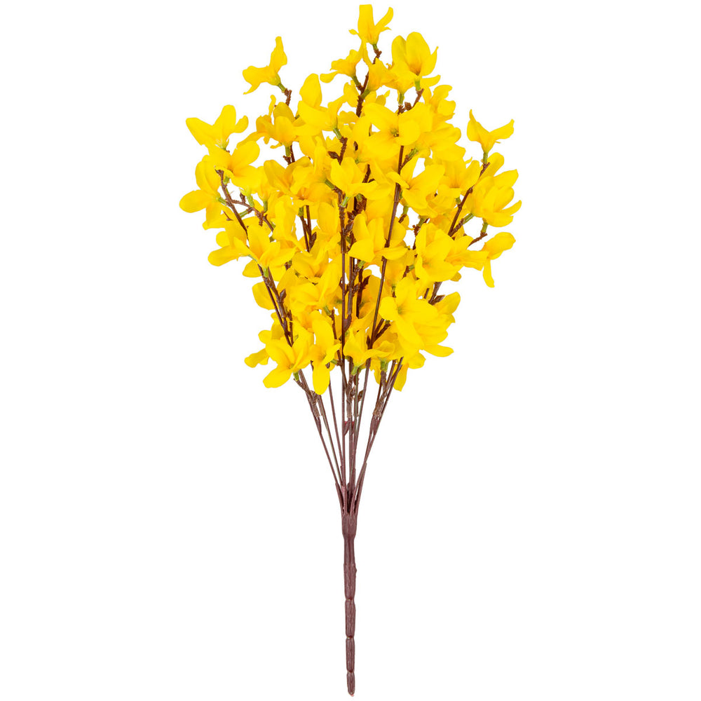 Forsythia Bunch Yellow image 0