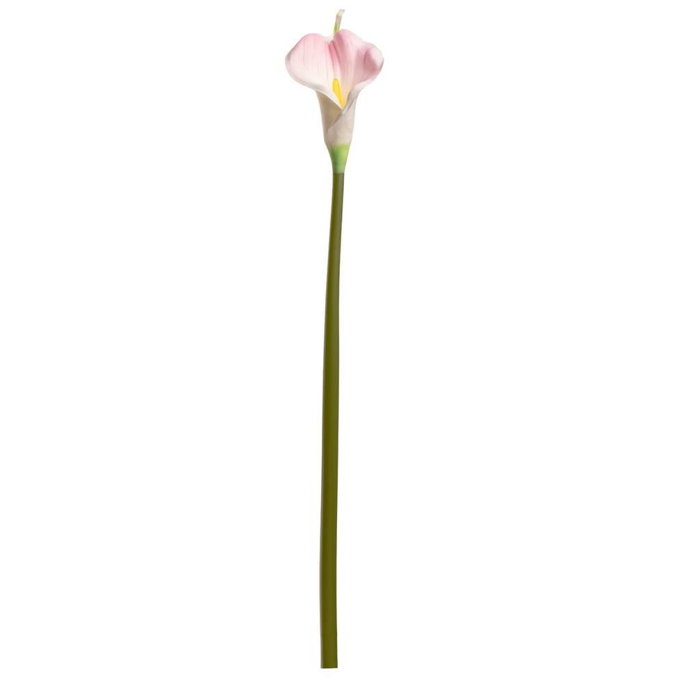 Calla Lily Pink Long Tall Stem image 0