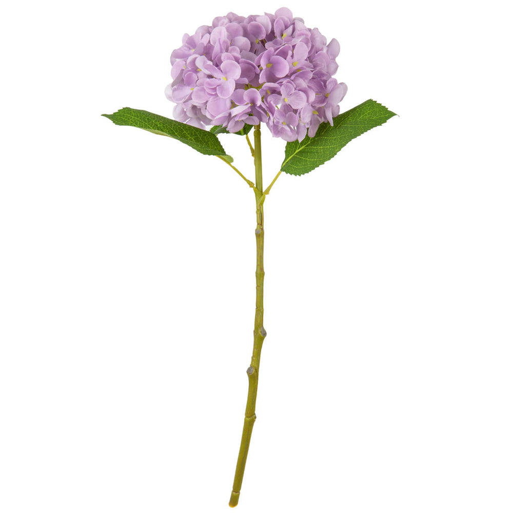 Small Head Hydrangea Pastel Lilac image 0