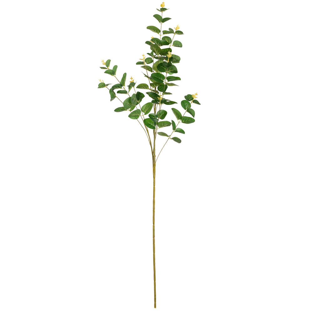 Eucalyptus Stem Dark Green image 0